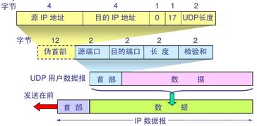 計算機網絡知識總結